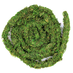 Galapagos MossVine Green Bulk, 60ft