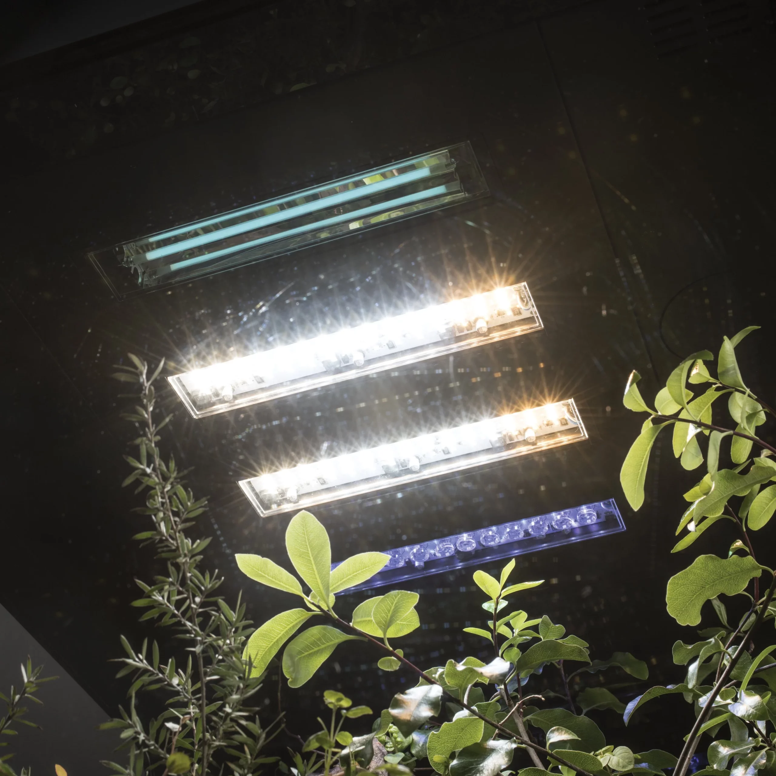 Biorb EARTH 125 Vivarium, All in One - Image 2