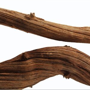 Galapagos Jungle Wood Brown, 2ft