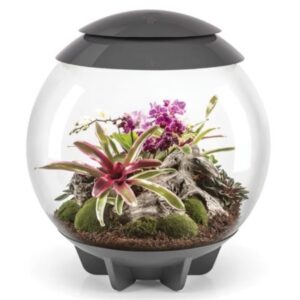 BiOrb AIR 60 LED Terrarium, Grey