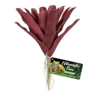 ZooMed Naturalistic Flora, Fireball Bromeliad