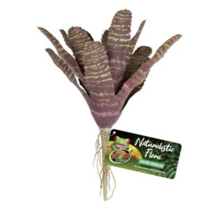 ZooMed Naturalistic Flora, Chesnut Bromeliad