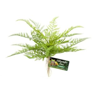 ZooMed Naturalistic Flora, Lace Fern
