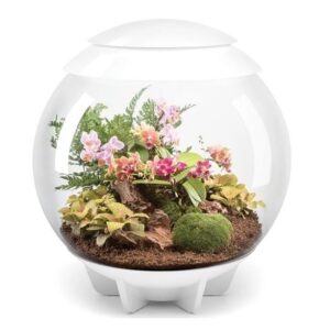 BiOrb AIR 60 LED Terrarium, White