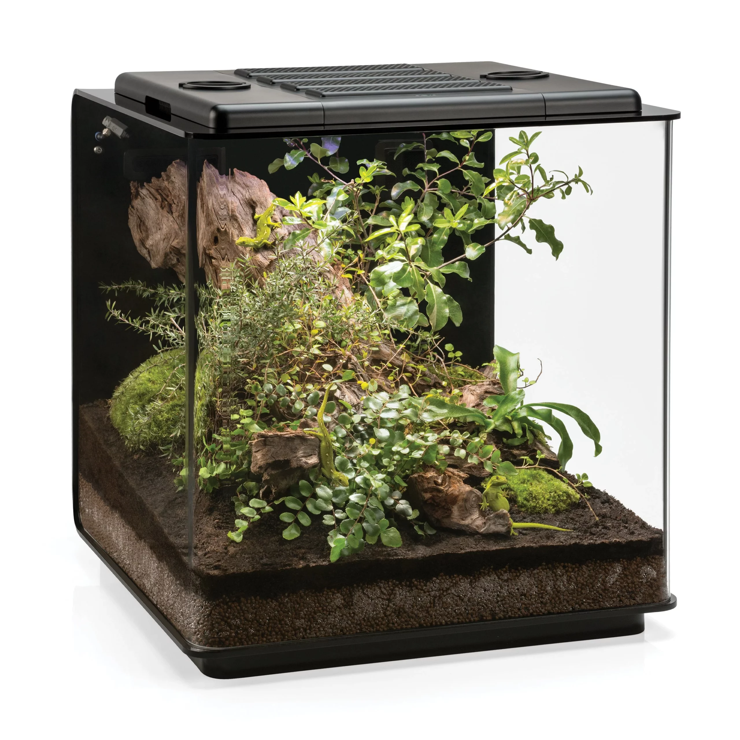 Biorb EARTH 125 Vivarium, All in One