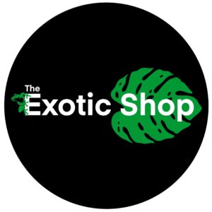 The Exotic Shop