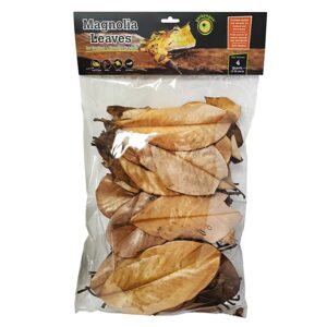 Galapagos Magnolia Leaves, 4qt