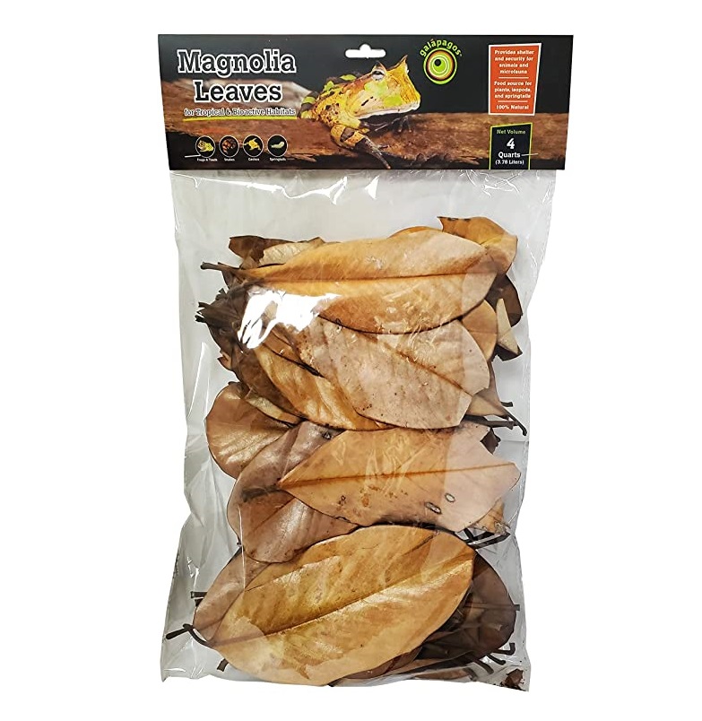 Galapagos Magnolia Leaves, 4qt
