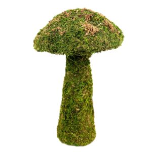 Galapagos Moss Mushroom Green, Small 11″