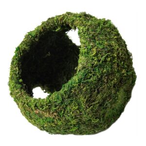 Galapagos Mossy Cave Green with Holes, 8″ Diameter