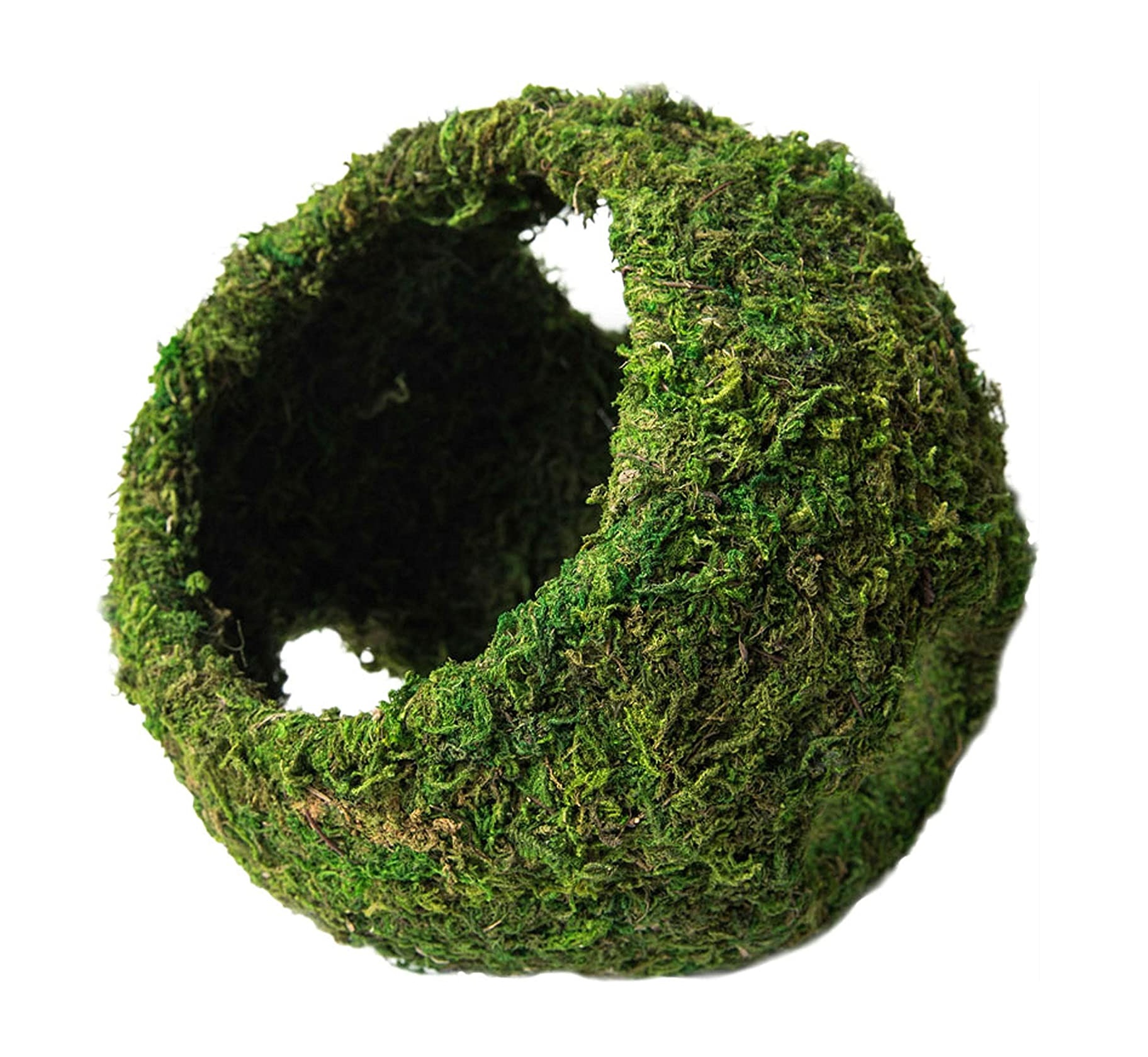 Galapagos Mossy Cave Green with Holes, 8″ Diameter