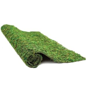 Galapagos Mossy Crash Pad, 18″ x 36″