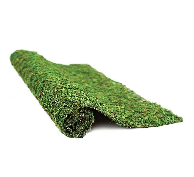 Galapagos Mossy Crash Pad, 18″ x 36″
