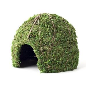 Galapagos Mossy Dome Green, 9″ Diameter