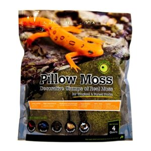 Galapagos Pillow Moss, 4qt