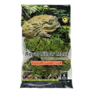 Galapagos Royal Pillow Moss, 8qt