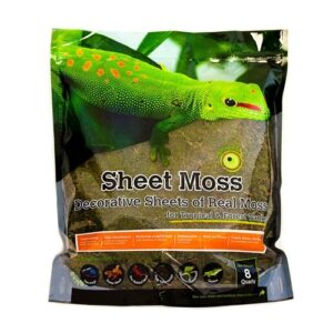 Galapagos Sheet Moss, 8qt