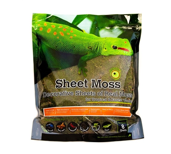 Galapagos Sheet Moss, 8qt