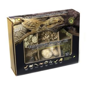 Galapagos Terrarium Starter Kit, Arid Environment