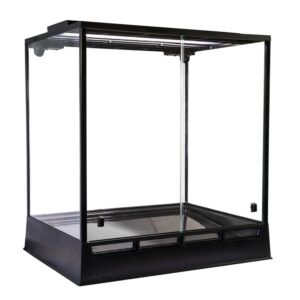 In Situ Ecosystems – Amazonia “New” Vivarium, 24″