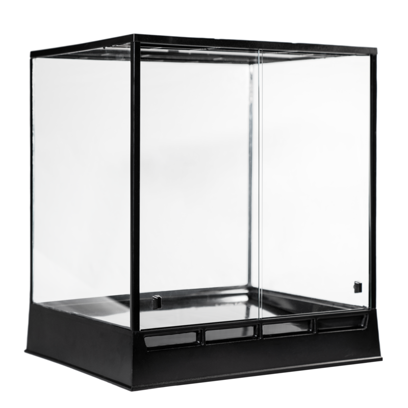 In Situ Ecosystems - Selva Plus Vivarium, 24"