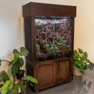 In Situ Ecosystems- Orinoco Grande’ Complete System 48″