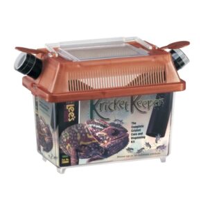 Lee's Kricket Keeper, Small - with Lid and Feeder Tubes