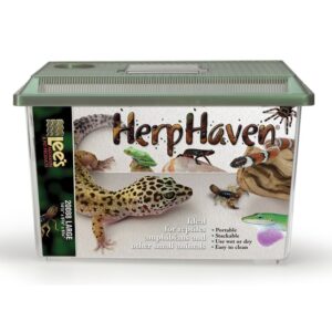 Lee's Herp Haven, Large