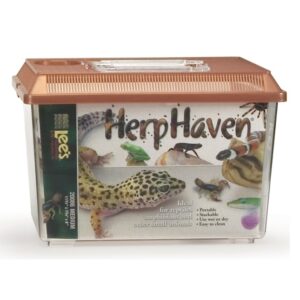 Lee's Herp Haven, Medium