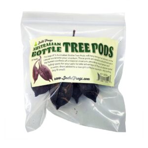 Australian Bottle Tree Pods (Includes 5 Pods)