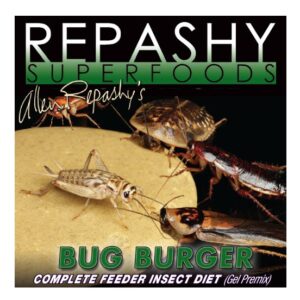 Bug Burger, 12oz (340g) 3/4lb