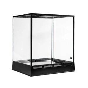 In Situ Ecosystems- Selva Vivarium, 20″