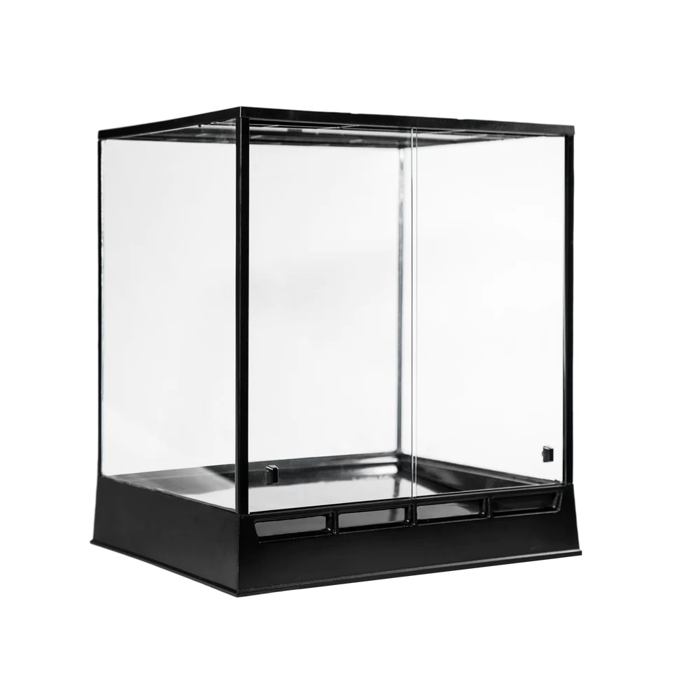 In Situ Ecosystems – Selva Plus Vivarium, 20″