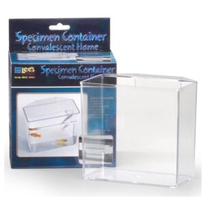 Lee's Specimen Container, Small (Boxed)