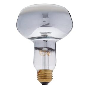ZooMed Repti Basking Spot Lamp, 250 Watt