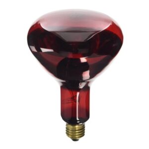 ZooMed Nocturnal Infrared Heat Lamp, 250 Watt