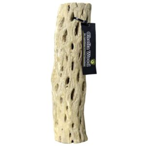 Galapagos Cholla Wood Branches, Appx. 12″