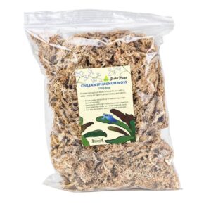 Josh's Frogs Chilean Sphagnum Moss, 100 Gram Bag