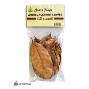 Josh's Frogs Large Jackfruit Leaves, 10 Count