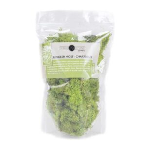 Josh's Frogs Chartreuse Reindeer Moss, 1 Quart