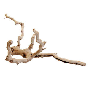 Zoomed Premium Sand Blasted Grapevine, Show (30-40")
