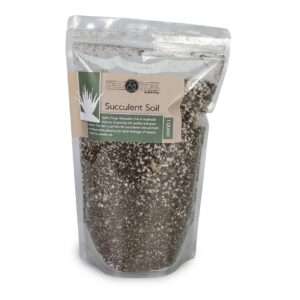 Josh's Frogs Succulent Soil, 1 Quart