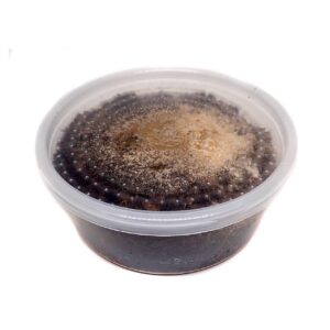Springtails