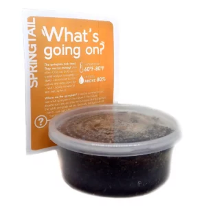 Springtail Culture, 8oz Starter