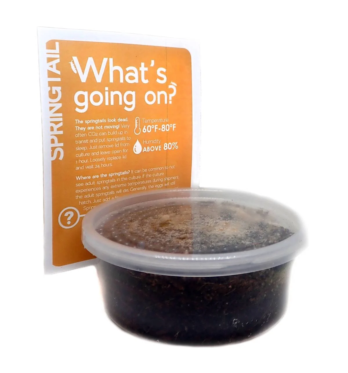 Springtail Culture, 8oz Starter