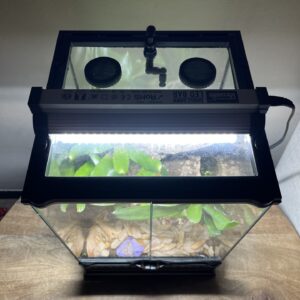 Exoterra 12"x12" Screen to Glass Conversion