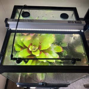 Exoterra 18"x18" Screen to Glass Conversion