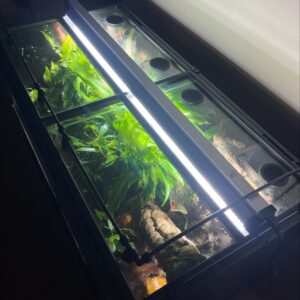 Exoterra 36"x18" Screen to Glass Conversion