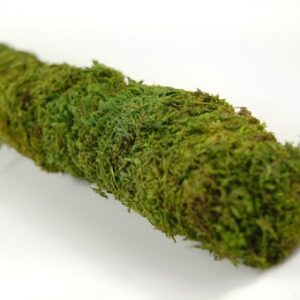 Galapagos Mossy Stick, 18″ (6 pcs)